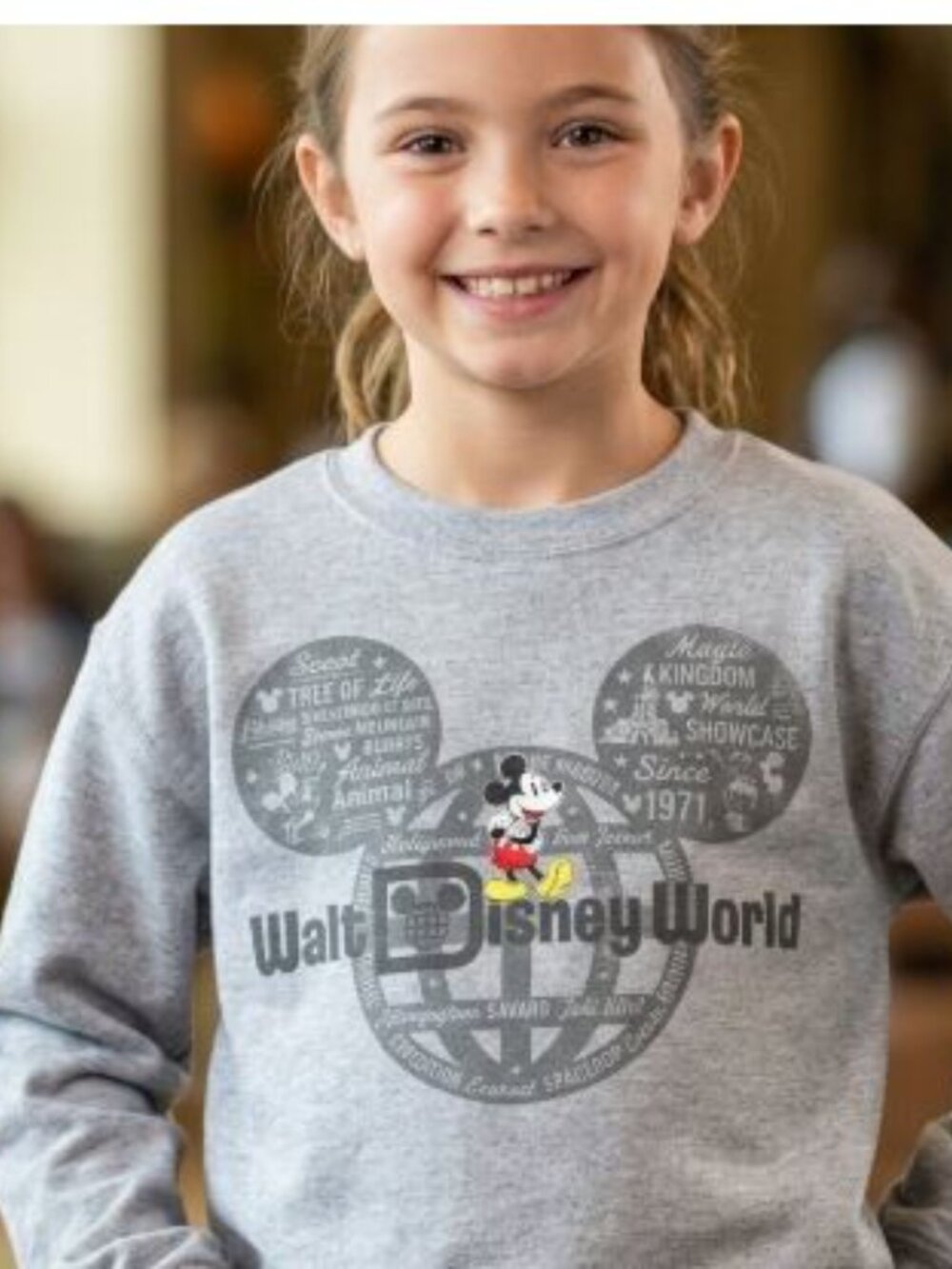 Disney Parks Walt Disney World crewneck Sweatshirt Size Small